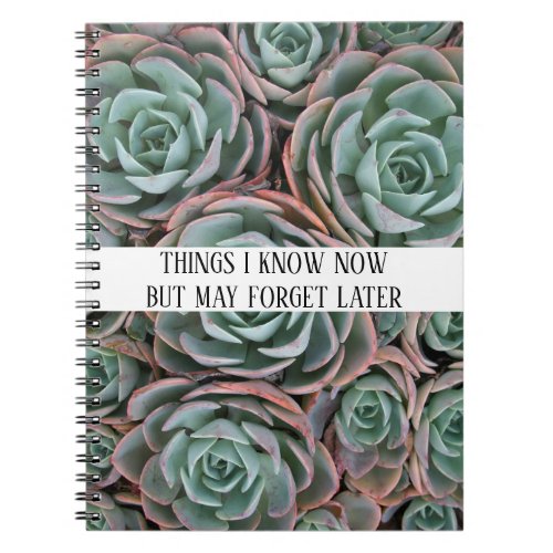 Funny Things I Know Now Notebook