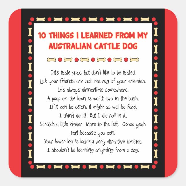 Funny Things I Learned From Australian Cattle Dog Square Sticker (Front)