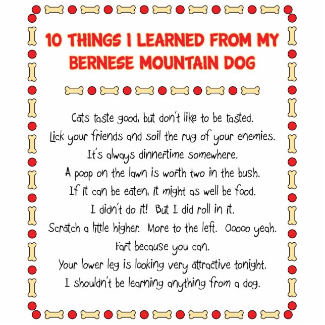 Funny Things I Learned From Bernese Mountain Dog Statuette (Front)