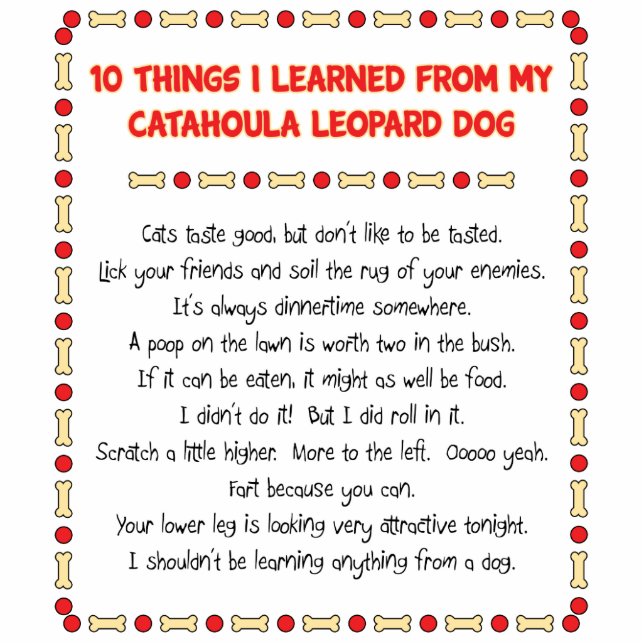 Funny Things I Learned From Catahoula Leopard Dog Cutout (Front)