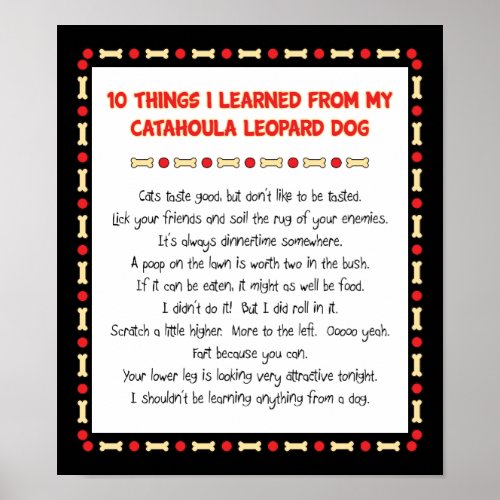 Funny Things I Learned From Catahoula Leopard Dog Poster