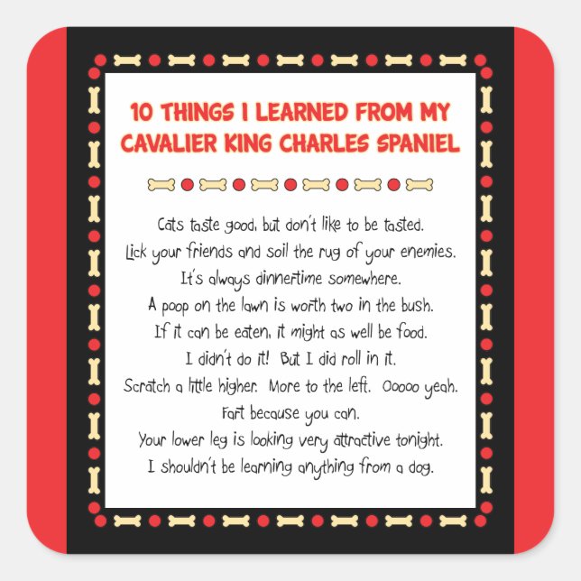 Funny Things I Learned From Cavalier King Charles Square Sticker (Front)
