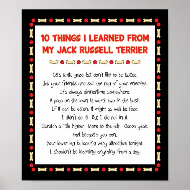 Funny Things I Learned From Jack Russell Terrier Poster (Front)