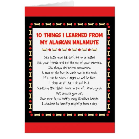 Funny Things I Learned From My Alaskan Malamute Cards (Front)