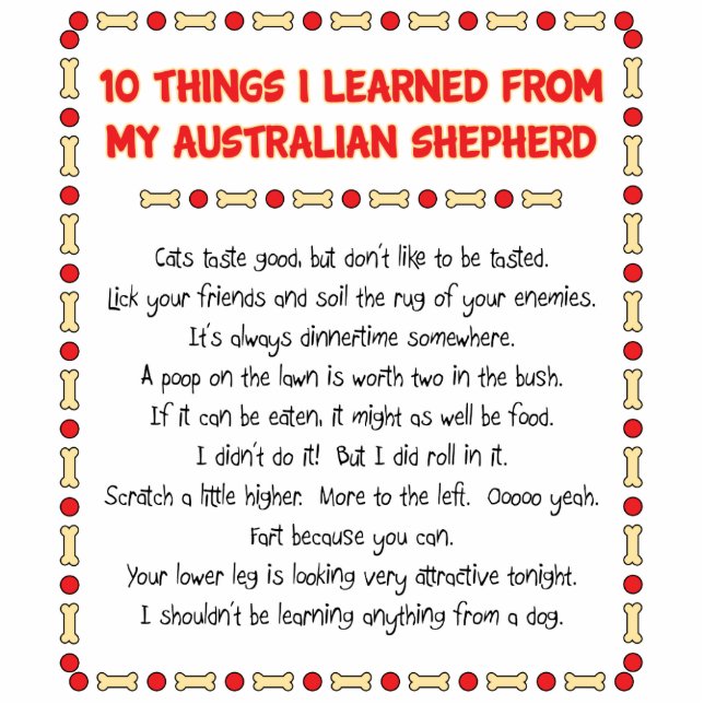 Funny Things I Learned From My Australian Shepherd Statuette (Front)