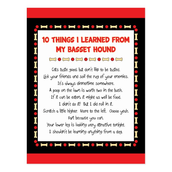 Funny Things I Learned My Basset Hound Postcard