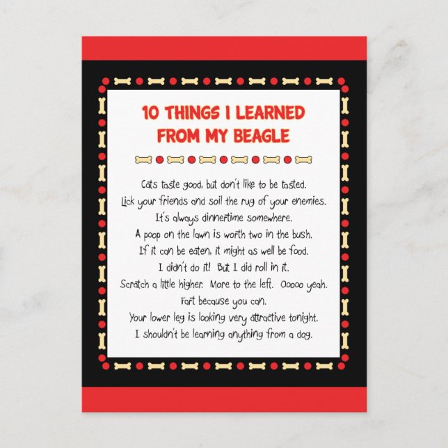 Funny Things I Learned From My Beagle Postcard (Front)