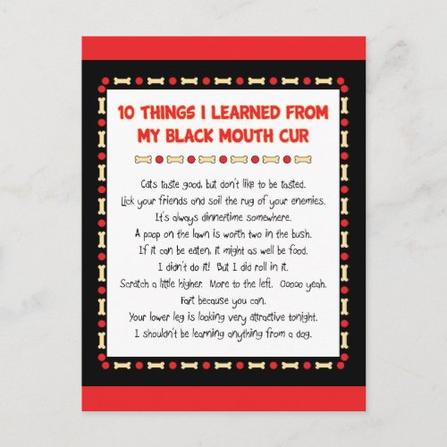 Funny Things I Learned From My Black Mouth Cur Postcard