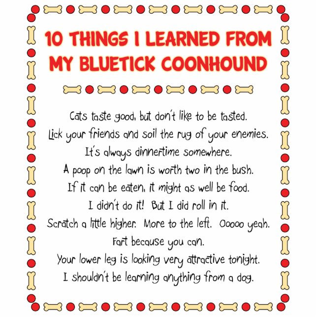 Funny Things I Learned From My Bluetick Coonhound Statuette (Front)