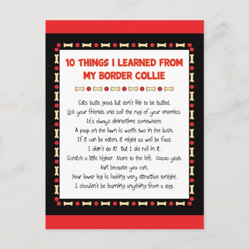 Funny Things I Learned From My Border Collie Postcard