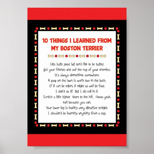 Funny Things I Learned From My Boston Terrier Poster