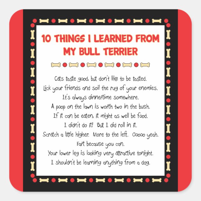 Funny Things I Learned From My Bull Terrier Square Sticker (Front)