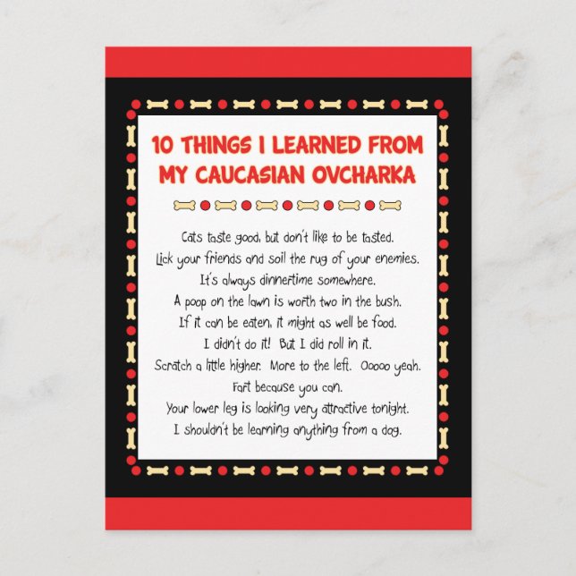 Funny Things I Learned From My Caucasian Ovcharka Postcard (Front)
