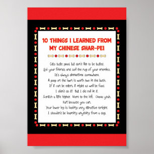 Funny Things I Learned From My Chinese Shar-Pei Poster