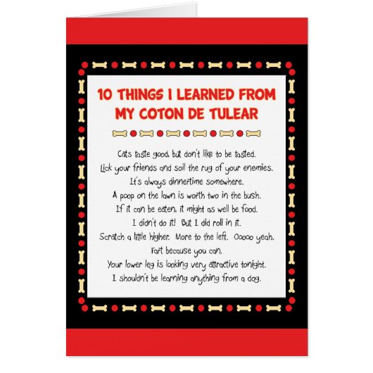 Funny Things I Learned From My Coton de Tulear Cards (Front)