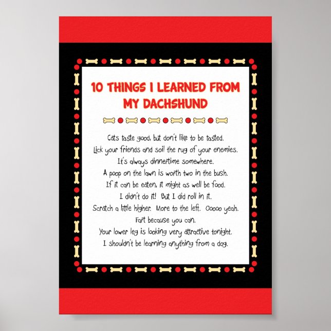 Funny Things I Learned From My Dachshund Poster (Front)