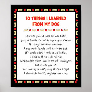 Funny Things I Learned From My Dog Poster