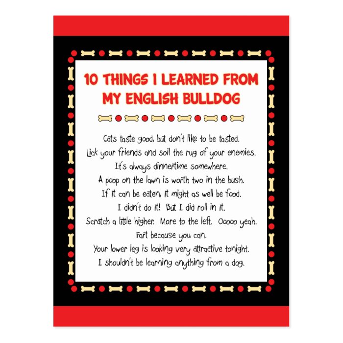 Funny Things I Learned My English Bulldog Postcards