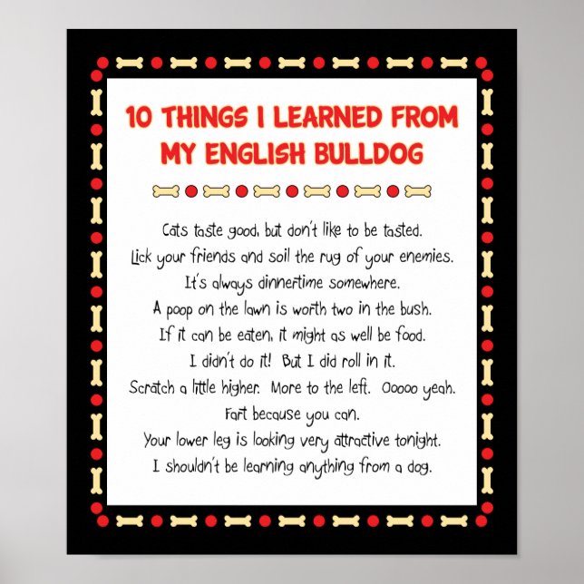 Funny Things I Learned From My English Bulldog Poster (Front)