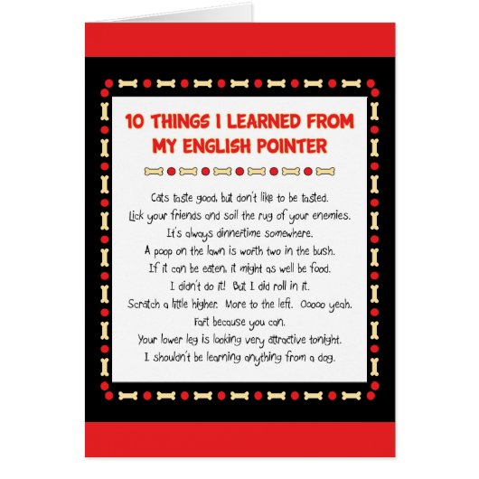 Funny Things I Learned From My English Pointer Cards (Front)