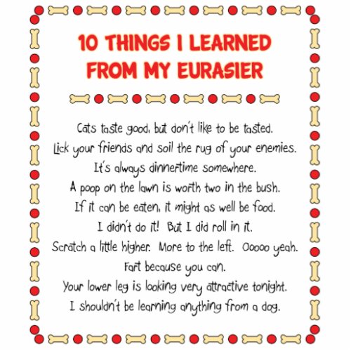 Funny Things I Learned From My Eurasier Statuette