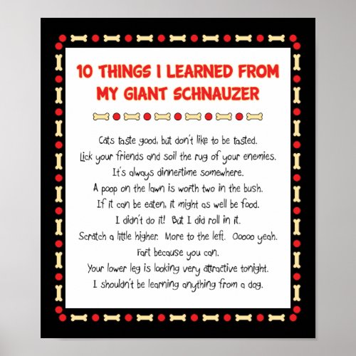 Funny Things I Learned From My Giant Schnauzer Poster