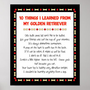 Funny Things I Learned From My Golden Retriever Poster