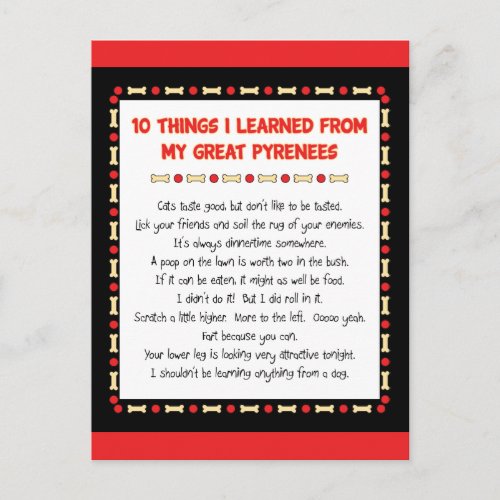 Funny Things I Learned From My Great Pyrenees Postcard