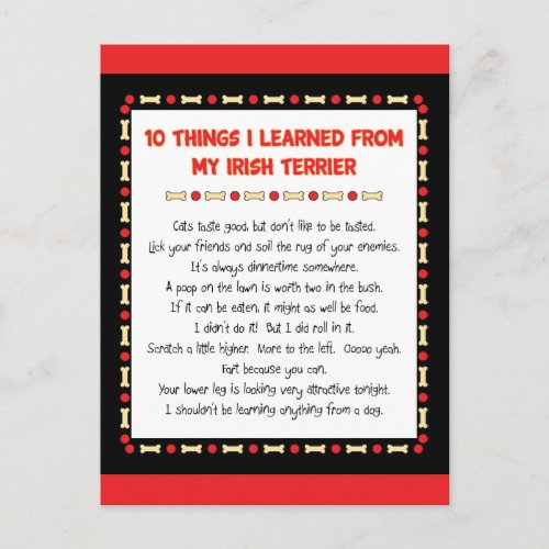 Funny Things I Learned From My Irish Terrier Postcard
