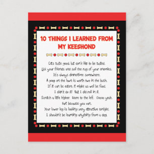 Funny Things I Learned From My Keeshond Postcard