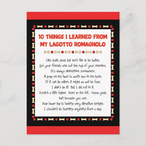 Funny Things I Learned From My Lagotto Romagnolo Postcard