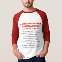 Funny Things I Learned From My Llewellin Setter
