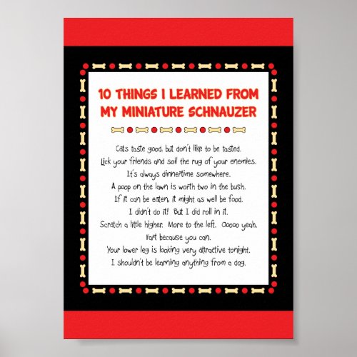 Funny Things I Learned From My Miniature Schnauzer Poster