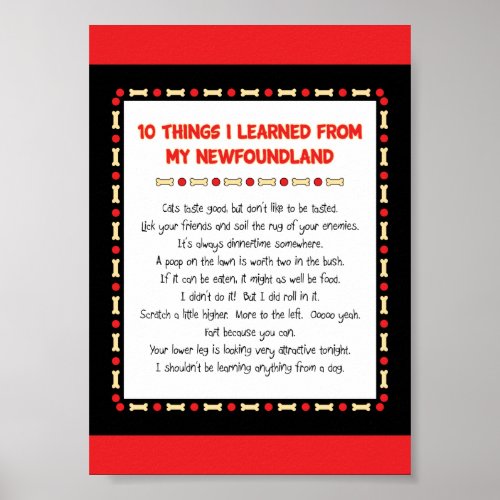Funny Things I Learned From My Newfoundland Poster