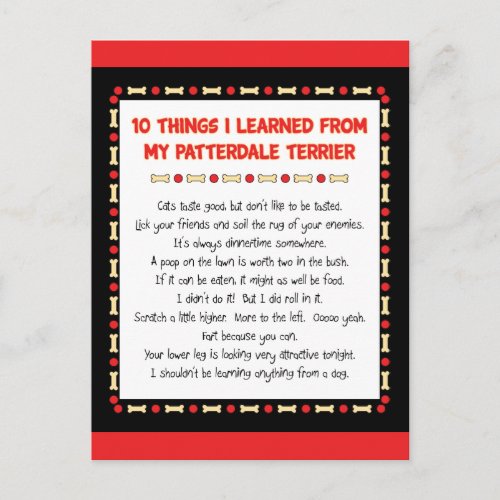 Funny Things I Learned From My Patterdale Terrier Postcard