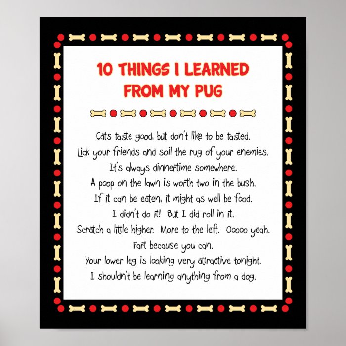 Funny Things I Learned My Pug Poster