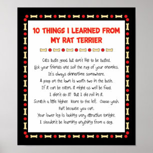 Funny Things I Learned From My Rat Terrier Poster