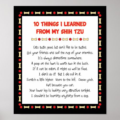 Funny Things I Learned From My Shih Tzu Poster
