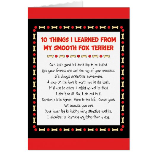 Funny Things I Learned From My Smooth Fox Terrier Cards (Front)