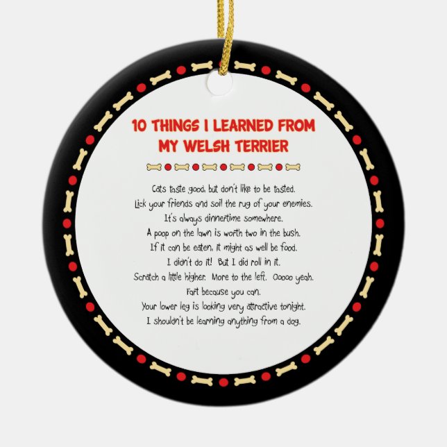 Funny Things I Learned From My Welsh Terrier Ceramic Ornament (Front)