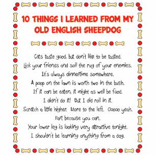 Funny Things I Learned From Old English Sheepdog Statuette