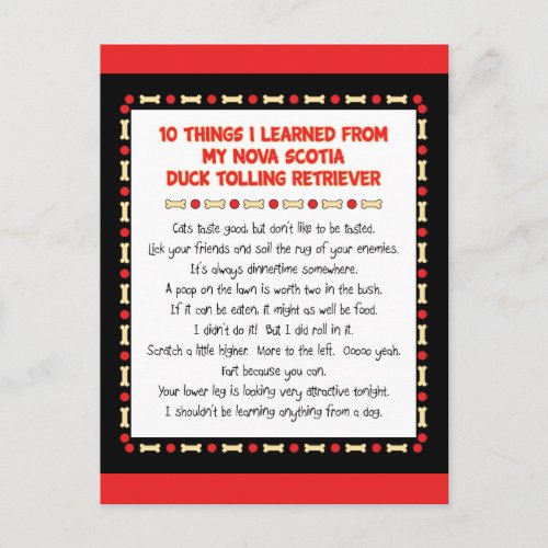 Funny Things Learned From Nova Scotia Duck Toller Postcard