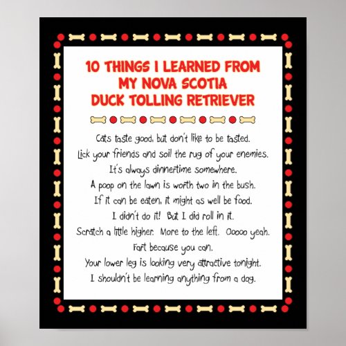 Funny Things Learned From Nova Scotia Duck Toller Poster
