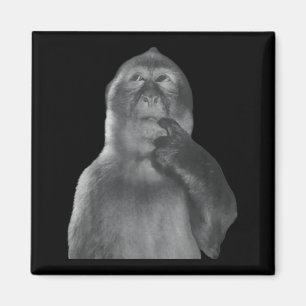 Funny Thinking Monkey Meme Curious Ape Brainrot  Magnet
