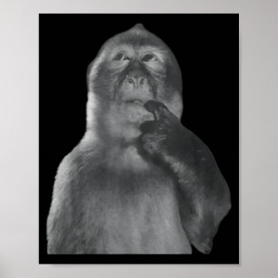 Funny Thinking Monkey Meme Curious Ape Brainrot Poster
