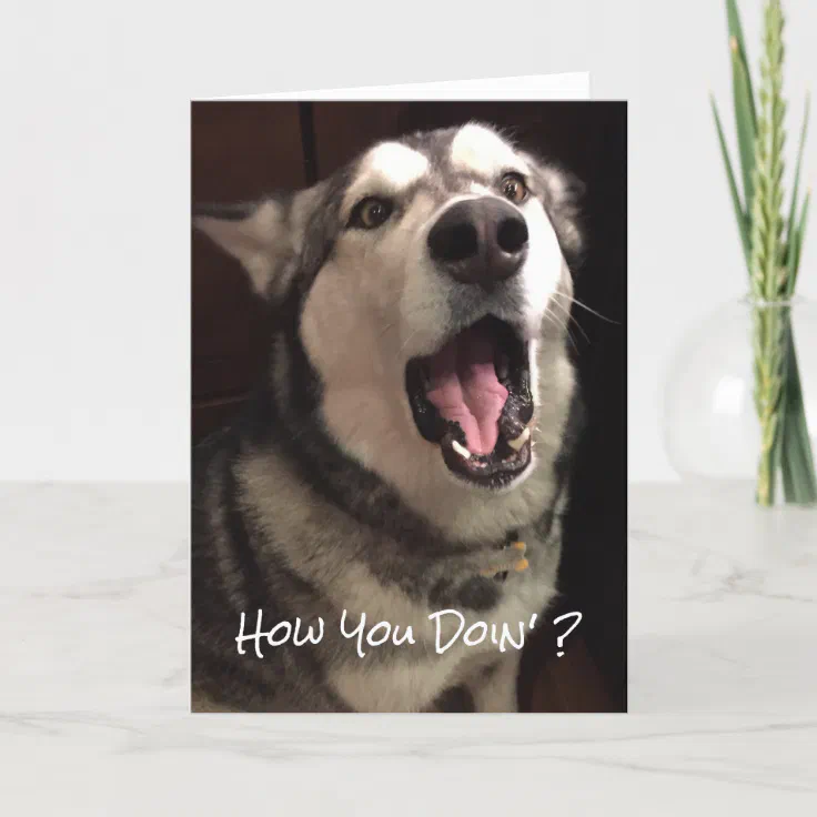 Funny Thinking Of You Alaskan Malamute Dog Photo Card | Zazzle