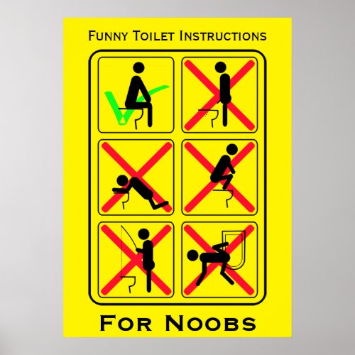 Funny Toilet Instructions Poster