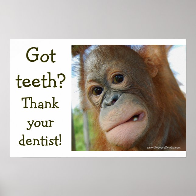 Funny Tooth Gratitude Poster (Front)
