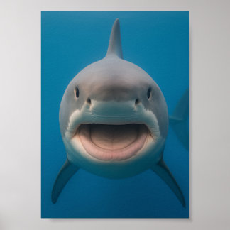 Funny Toothless Great White Shark Wall Art