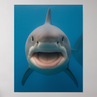 Funny Toothless Great White Shark Wall Art